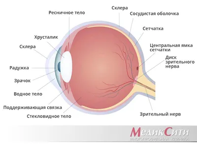 Рисунок 23 - Глаз пациента И. 55 лет а- язва роговицы герпетической эт…