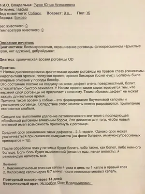 Покраснение глаз - когда нужно обратиться к врачу | Украинский  офтальмологический портал