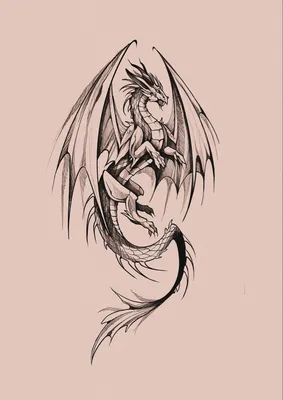 Дракон эскиз | Celtic dragon tattoos, Small dragon tattoos, Dragon tattoo  art