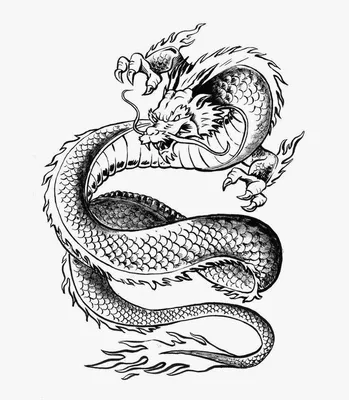 Тату дракон/Tattoo Dragon | Тату, Рисунки драконов, Лодыжки тату