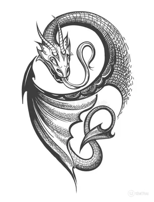Эскиз для тату с драконом от мастера студии PakhanoffTattooArt • Moscow🖤  Больше идей для тату в нашем профиле в Instagram👉… | Flower tattoos, Sign  design, Tattoos