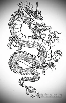 дракон тату эскиз – Google Поиск | Татуировки китайского дракона,  Татуировка трафареты, Татуировки