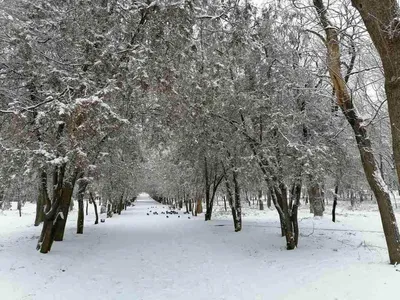 Улица в честь 300-летия Российской Империи может появиться в Ессентуках -  Stavropol.Media