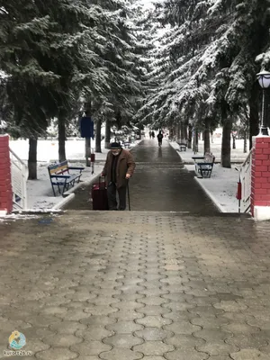 В Ессентуках устраняют последствия снегопада - АТВмедиа