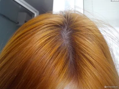 Краска для тонирования волос эстель (36 лучших фото)