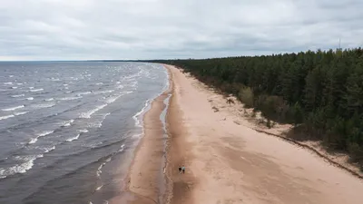 9 пляжей Эстонии, о которых мало кто знает