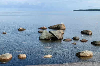 Эстония: пляжный отдых 2024-2025 | Booking.com