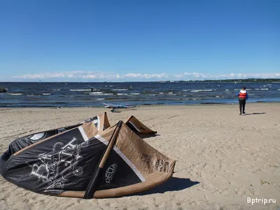 Свободный полет Балтийского моря эстония Стоковое Фото - изображение  насчитывающей тросточка, гравий: 50772816