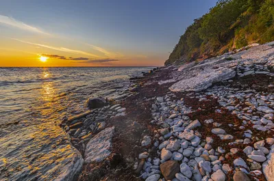 Kaesmu эстония прибалтика пляж каждая птица по-своему каменный пейзаж |  Премиум Фото