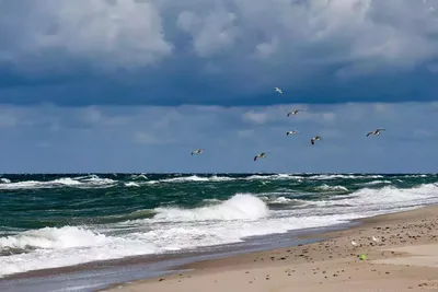 Море у северного побережья Эстонии охладилось из-за восточного ветра |  Эстония | ERR
