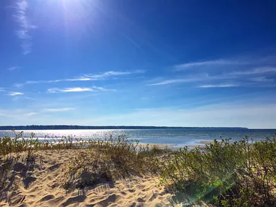 🌱🌱🌱#Дюны #песок #пляж #море #штромка #таллинн #эстония … | Flickr