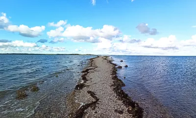 Финляндия и Эстония планируют оккупировать Балтийское море