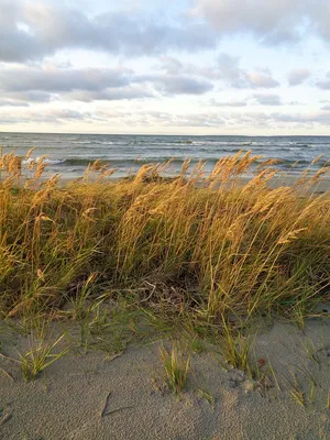 Балтийское море; Parnu, Эстония Стоковое Изображение - изображение  насчитывающей песок, место: 78031763
