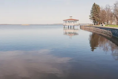 Эстония разработала план мер по спасению Балтийского моря | Latvijas ziņas  - Новости Латвии