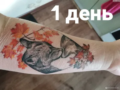 Этапы заживления тату 🖤 ⠀ С... - Tattoo Artist YANA Aksonova | Facebook