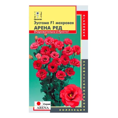 Эустома G Arosa Red L72 купить с доставкой в Украине | Эустомы в интернет  магазине Шарм24