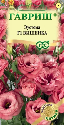 Купить 21 розовая эустома дешево 3529 ₽ круглосуточная доставка в Томске