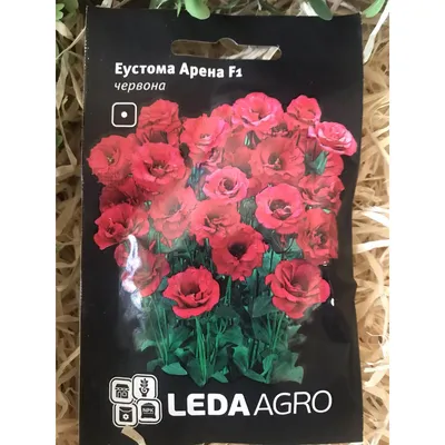 Эустома Эйбиси F1 темно-розовая крупноцветковая махровая 5шт, семена |  Купить в интернет магазине Аэлита