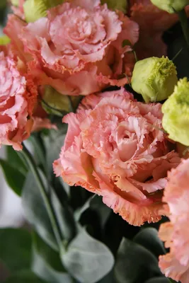 красивые цветочная композиция, пинк и красная роза, розовый Eustoma, желтая  хризантема Стоковое Фото - изображение насчитывающей торжество, зеркало:  101966214