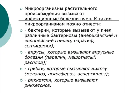 Инфекционные и вирусные болезни пчел — признаки и лечение — Медовая биржа