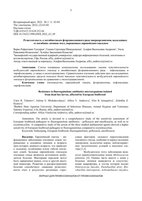 Газета «Молодежь Дагестана» №38 от 29.09.2023 | Молодежь Дагестана