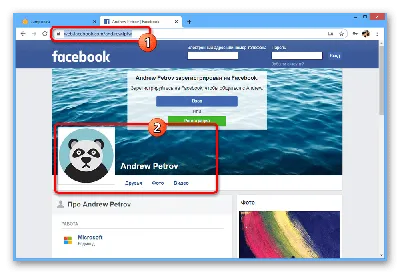 Как посмотреть фото в Фейсбук без регистрации