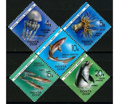 Купить 5 почтовых марок «Фауна Черного моря» СССР 1991 в интернет-магазине