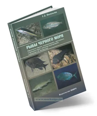 Рыбы Черного моря. Определитель морских, солоноватоводных, эвригалинных и  проходных видов с цветными иллюстрациями, собранными С.В. Богородским -  купить книгу в интернет-магазине МОРКНИГА по лучшим ценам! (811454)