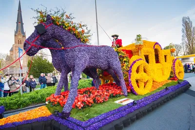 Самый крупный в мире парад цветов в Голландии посвятили Ван Гогу -  Путешествуем вместе | Van gogh, Flower sculptures, Vincent van gogh