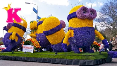 Парад цветов Bloemencorso Bollenstreek (Нидерланды) в 2019 году - Ежегодный Парад  Цветов в Голландии - Событие года - «Блог Флориум.юа» 2019