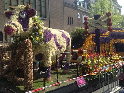 Нидерланды. Парад цветов Bloemencorso Bollenstreek - 2019. — Школа  Путешественника