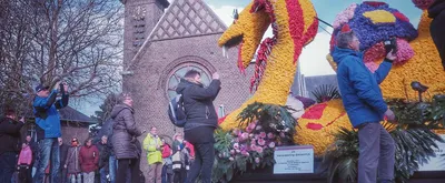 Парад цветов в голландии - 56 фото