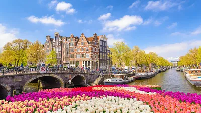 Блюменкорсо — цветочное безумие в Амстердаме
