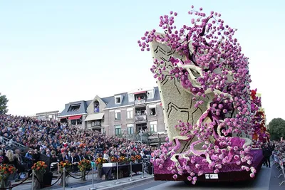 Фестиваль цветов Амстердаме 2020