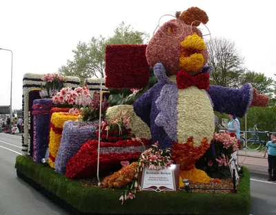Парад цветов в Голландии — в городке Зюндерт | Цветочный парад в Зюндерте | Фестиваль  цветов в Нидерландах