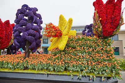 Парад цветов, Голландия