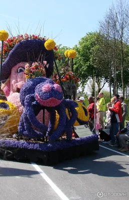 Парад цветов в Голландии Bloemencorso - Блог