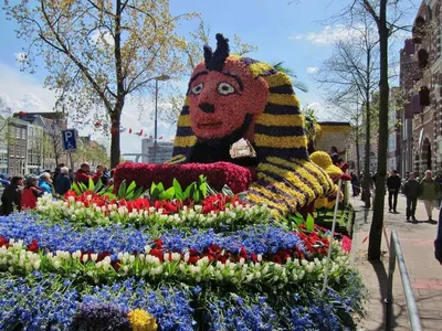 Голландия цветы: В Нидерландах прошел крупнейший в мире парад цветов -  Corso Zundert, шествие, фото, Аалсмеер, цветочная скульптура | Обозреватель