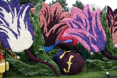 Отзыв о Парк цветов Keukenhof (Нидерланды, Лиссе) | Потрясающий парад цветов  Блюменкорсо! и великолепный парк с тюльпановыми полями