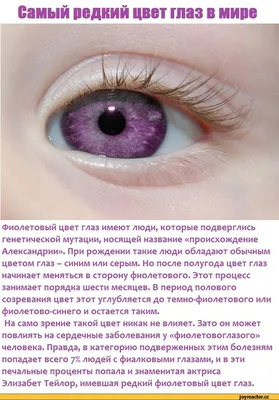 Самый редкий цвет глаз в мире Фиолетовый цвет глаз имеют люди, которые  подверглись генетической му / цвет :: глаза :: Реактор познавательный  (галилео, реактор познавательный, интересности, интересное, #галилео) ::  разное / картинки,