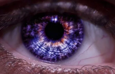 Генезис Александрии, фиолетовые глаза (генетическая мутация) Когда кто-то  рождается с Генезисом Александрии,.. | ВКонтакте