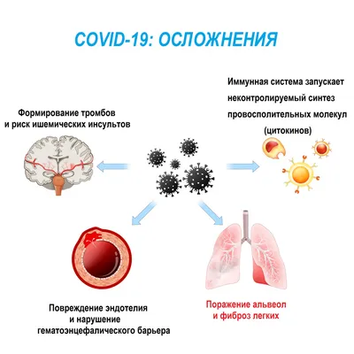 Фиброз: по какой причине он образуется. Влияют ли на него филлеры и нити? |  Современный взгляд с Давидом Гришкяном на пластическую хирургию | Дзен