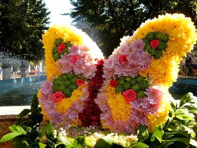 Игрушки из цветов с доставкой по Киеву - Купить и заказать круглосуточно