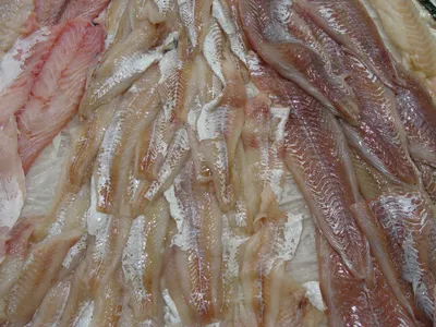 Филе рыбы Панга - Pangasius Hypophthalmus | Eximany