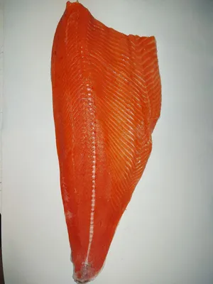 Филе лососёвых рыб на коже подкопчённое пласт · Мореска