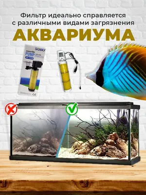 Как чистить фильтр в аквариуме? | Блог зоомагазина Zootovary.com
