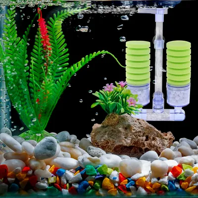 Самодельный внешний фильтр для нано аквариума : Наноаквариум
