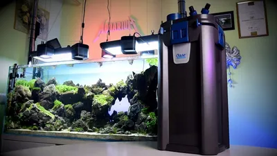 Прозрачный фильтр для аквариума, 6 Вт, предварительный фильтр для аквариума,  внешний фильтр для дома – лучшие товары в онлайн-магазине Джум Гик