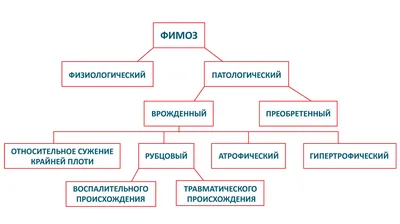 Очень личная проблема мужчин – что такое фимоз и чем опасно его  игнорировать | О здоровье: с медицинского на русский | Дзен