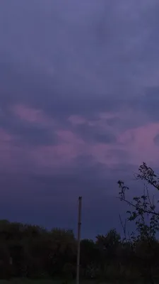 Японцев напугало яркое фиолетовое небо перед тайфуном \"Хагибис\" —  13.10.2019 — В мире на РЕН ТВ